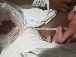 Lotus Birth